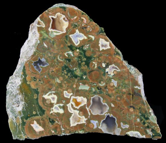 Polished Rainforest Jasper (Rhyolite) Slab - Australia #65348